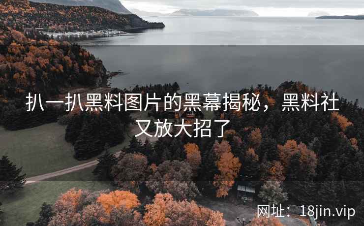 扒一扒黑料图片的黑幕揭秘，黑料社又放大招了