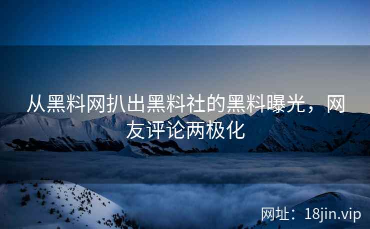 从黑料网扒出黑料社的黑料曝光，网友评论两极化