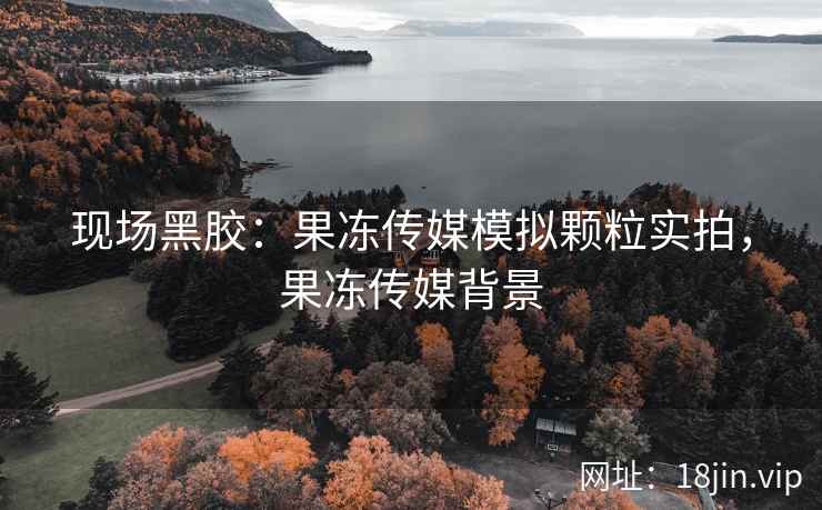 现场黑胶：果冻传媒模拟颗粒实拍，果冻传媒背景