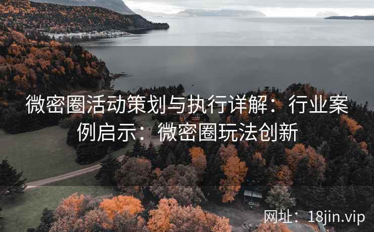 微密圈活动策划与执行详解：行业案例启示：微密圈玩法创新