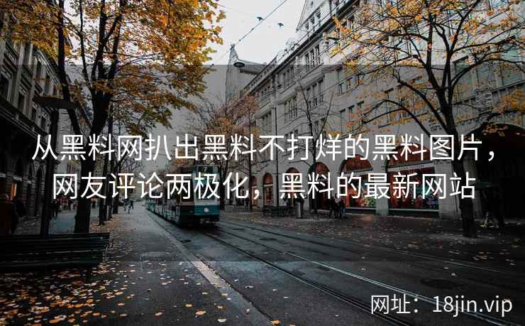 从黑料网扒出黑料不打烊的黑料图片，网友评论两极化，黑料的最新网站