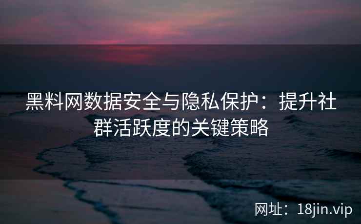 黑料网数据安全与隐私保护：提升社群活跃度的关键策略